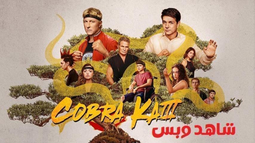 مسلسل Cobra Kai الموسم الثالث الحلقة 10 العاشرة والاخيرة مترجم