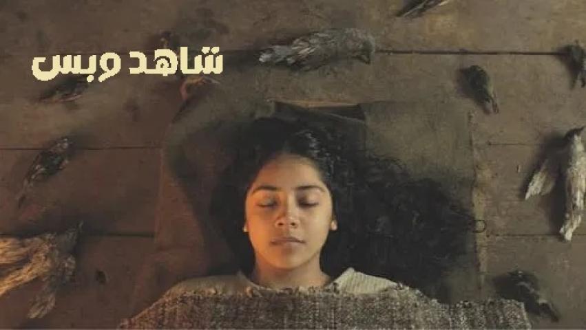 مشاهدة فيلم Brujeria 2023 مترجم